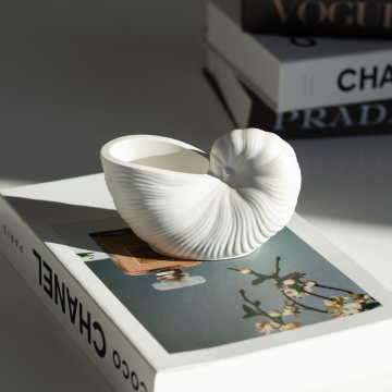 Decorative vase "Shell", 13x8 cm